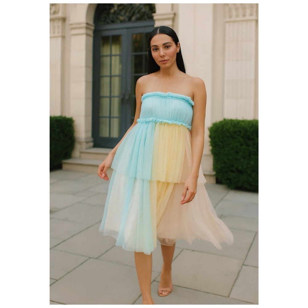 PERNILLE ROSENKILDE x Anthropologie Strapless Tiered Tulle Midi Dress small